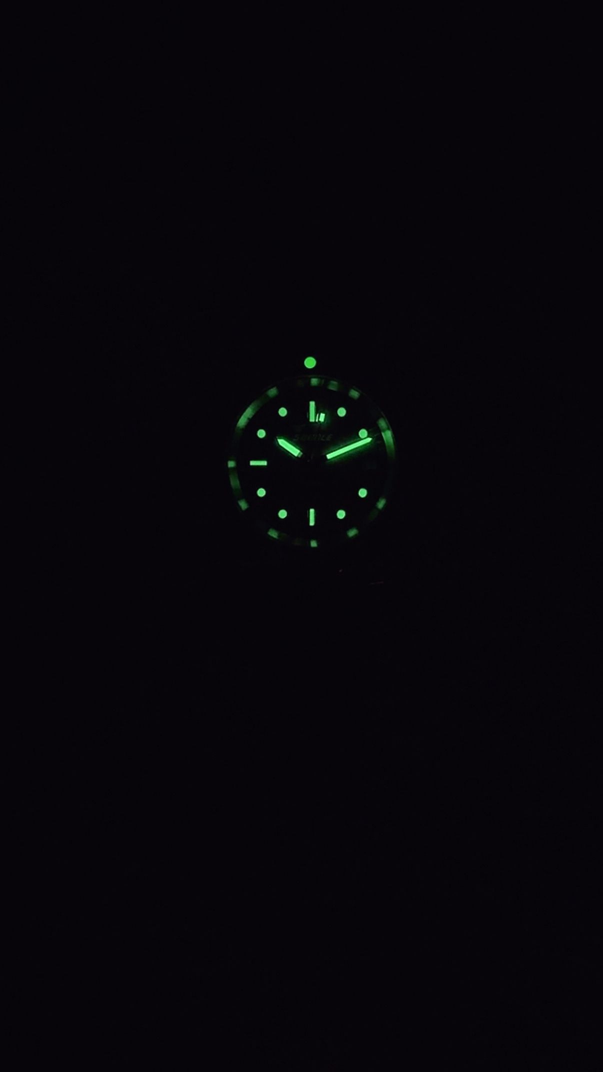 Squale — 7