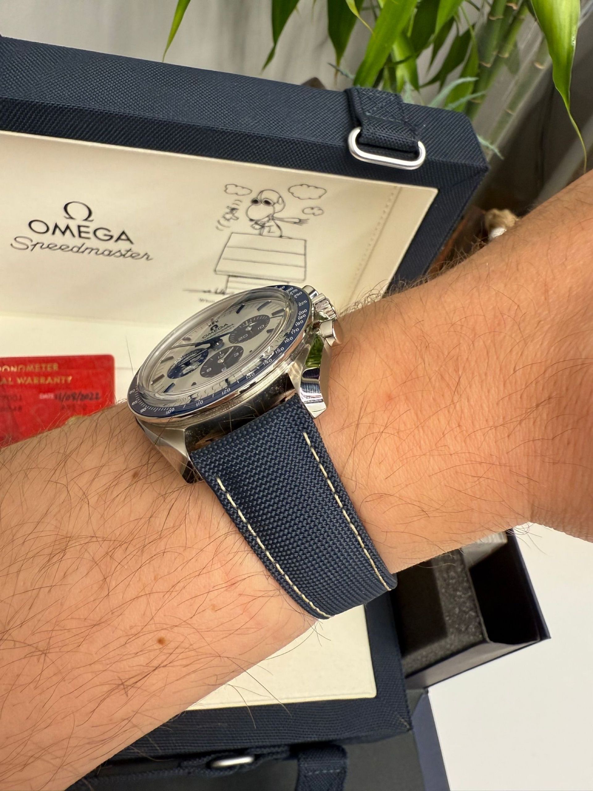 Omega — 2