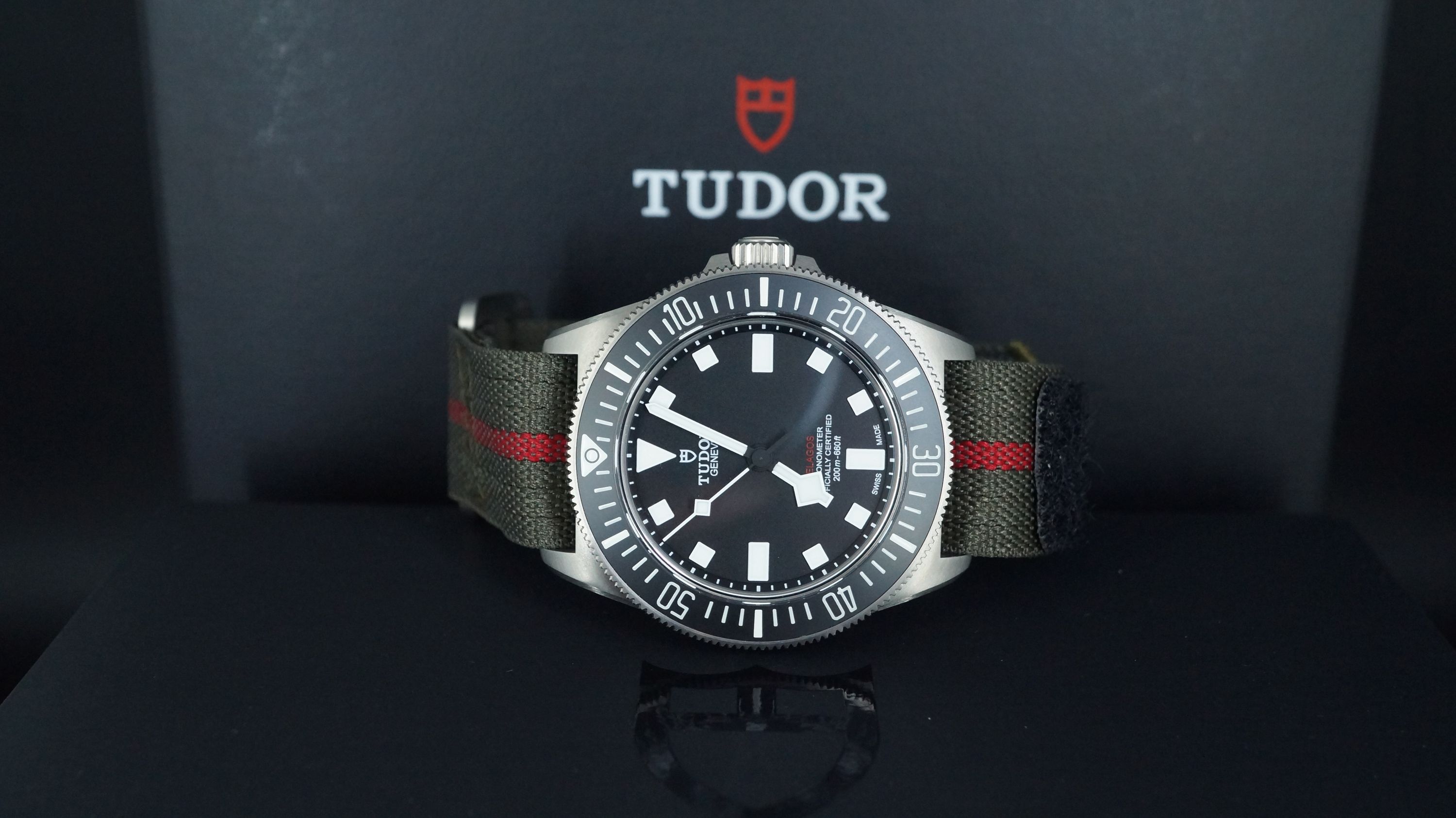Tudor — 6