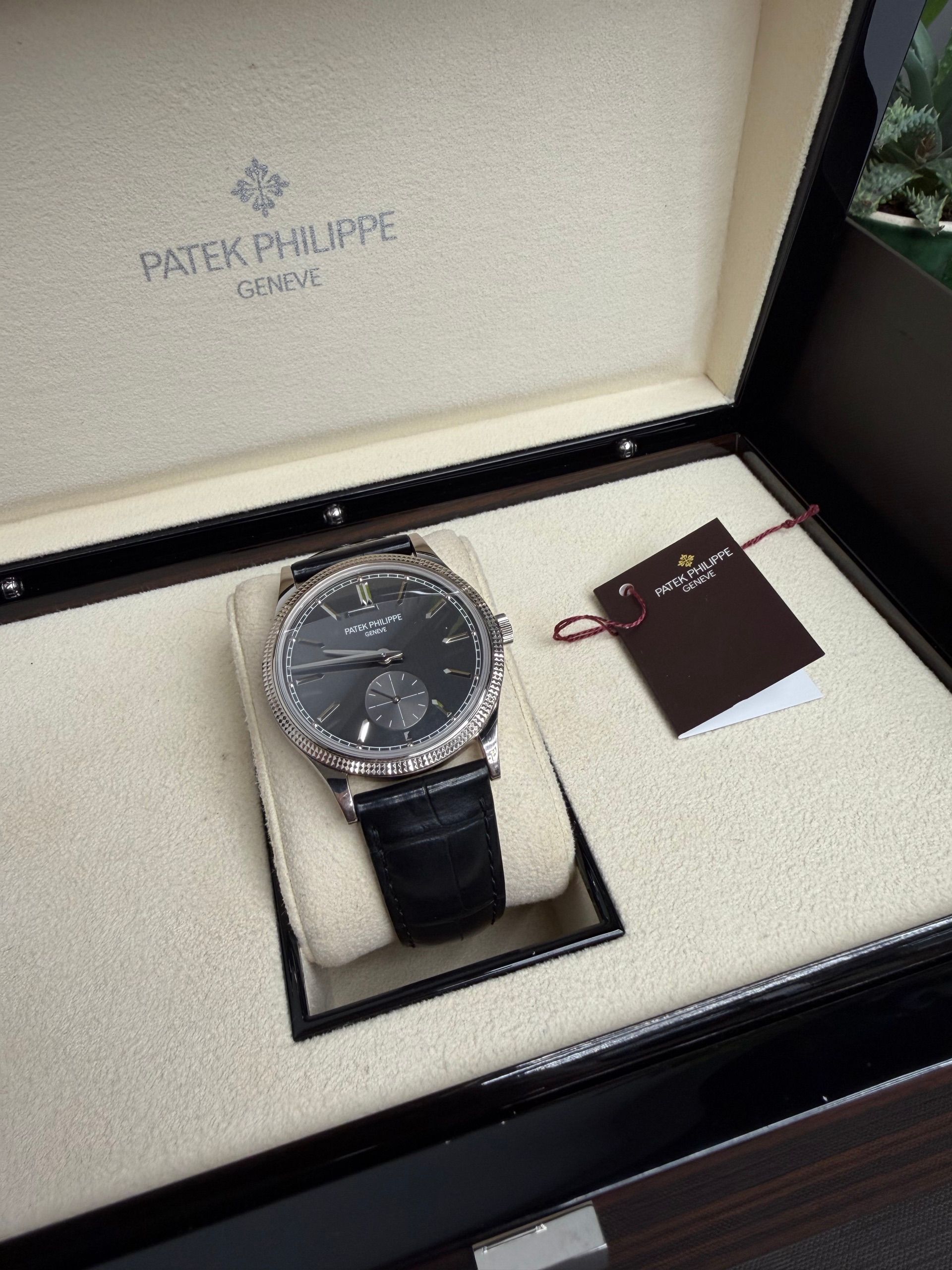 Patek Philippe — 5