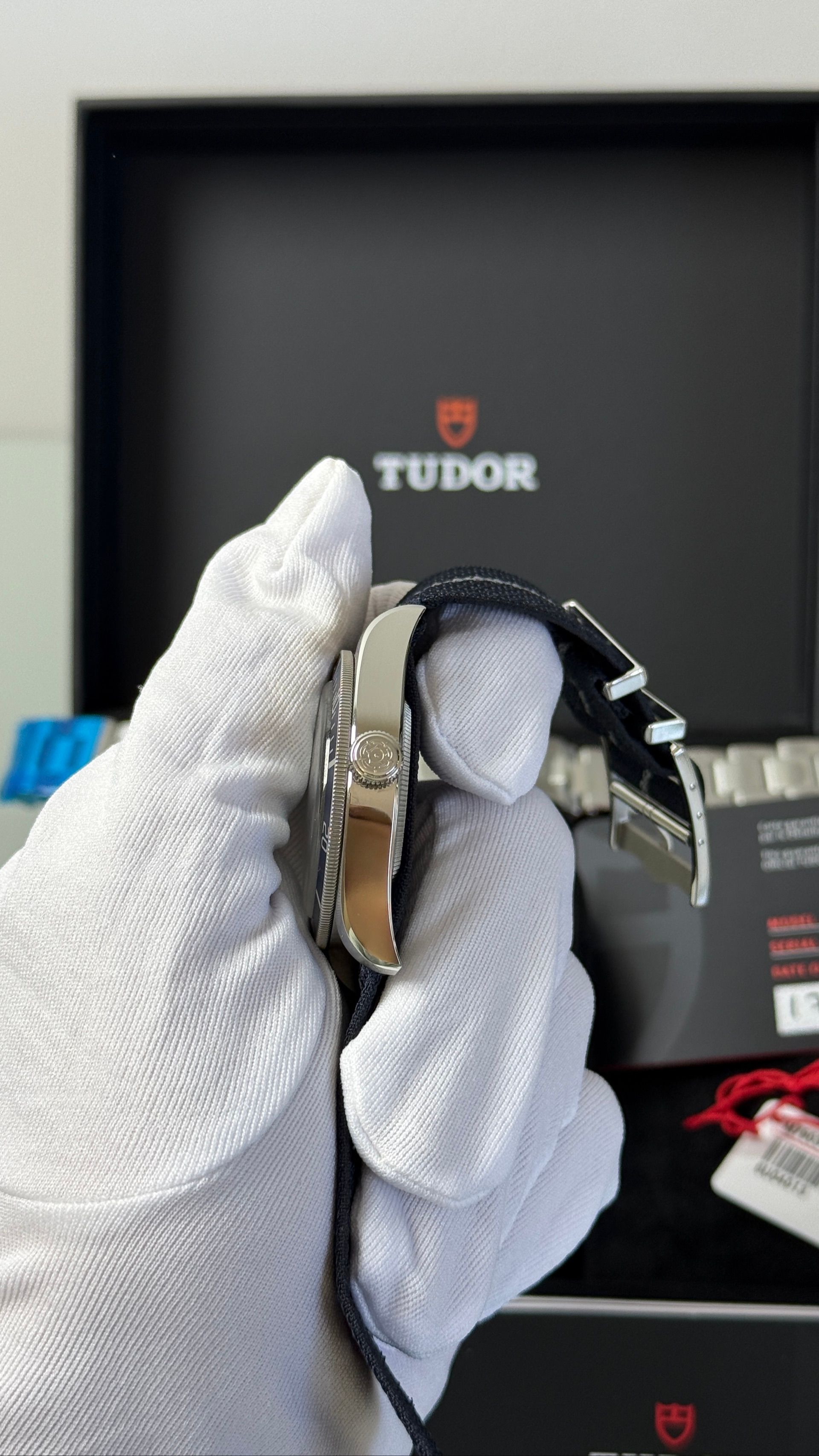 Tudor — 6