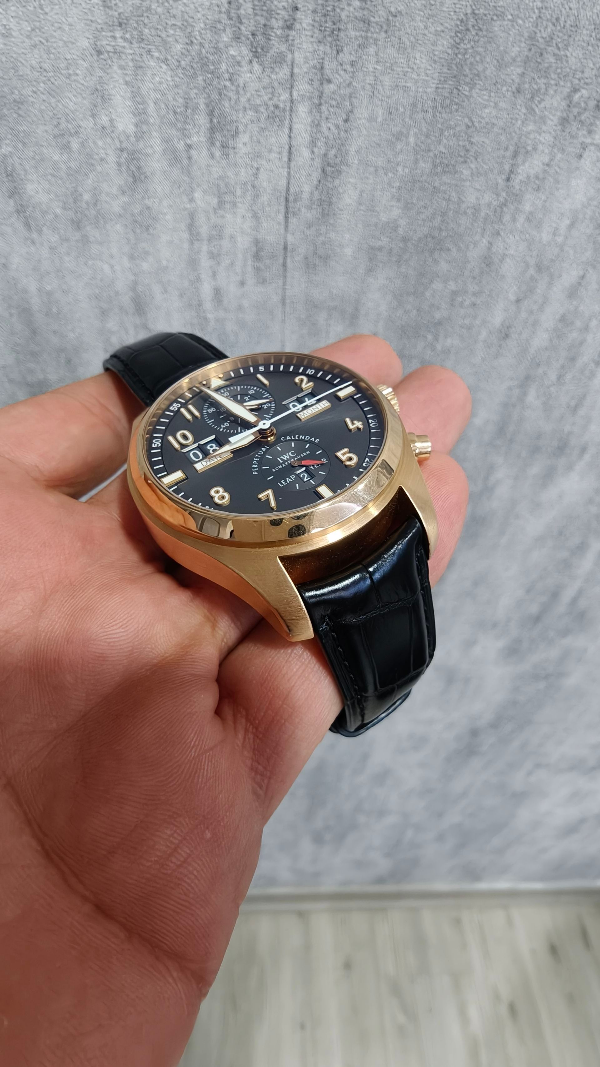 IWC — 8